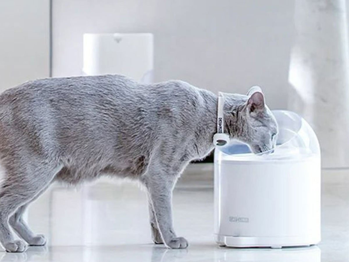 Catlink Filtry wymienne do fontanny Pure 2 (2 sztuki)