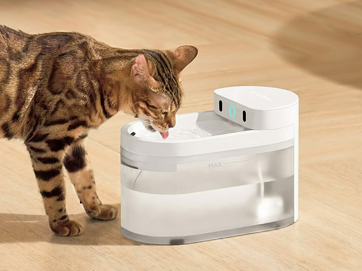 Catlink Inteligentna fontanna dla psa i kota Pure 3 kotek