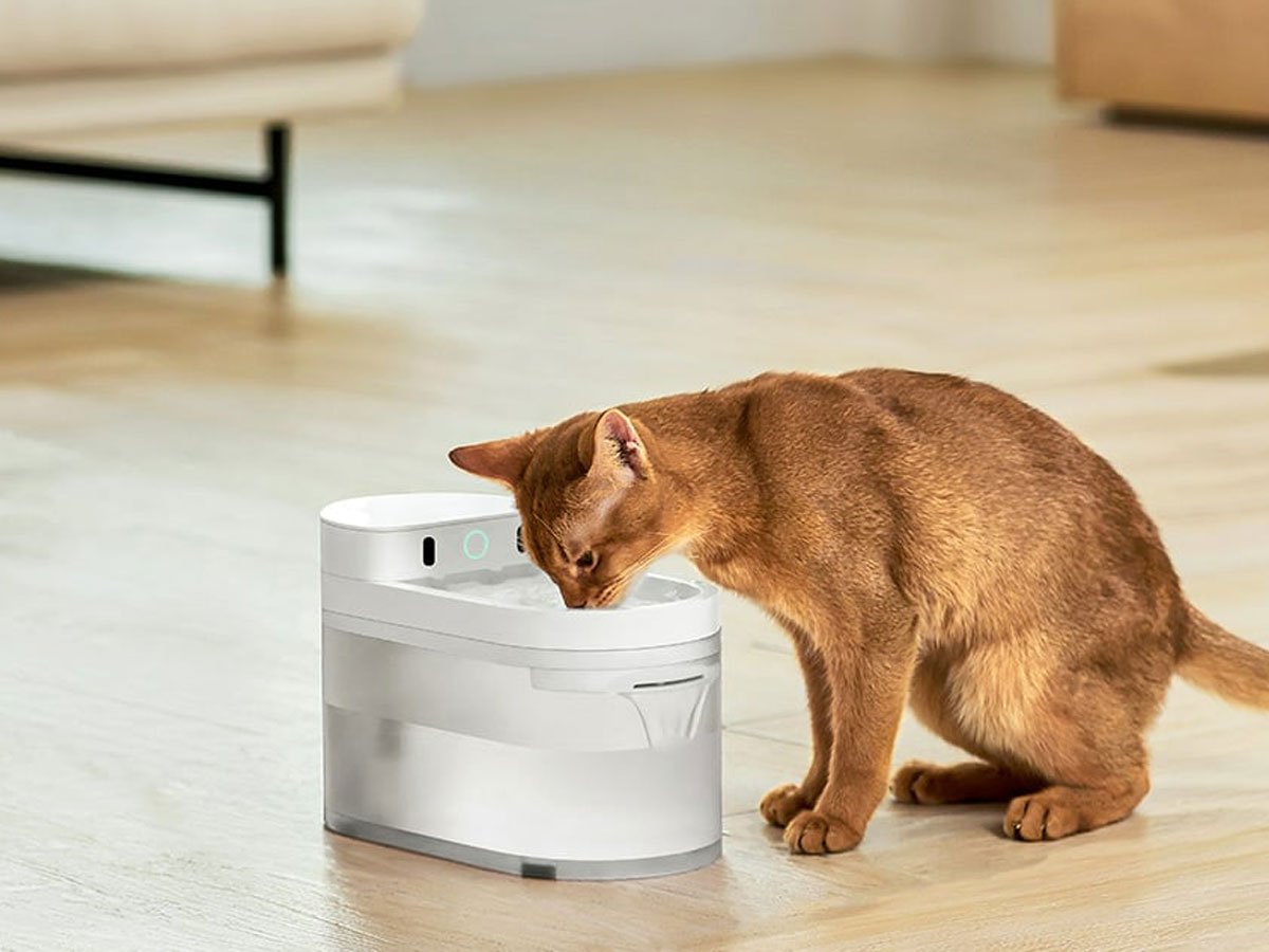 Catlink Inteligentna fontanna dla psa i kota Pure 3