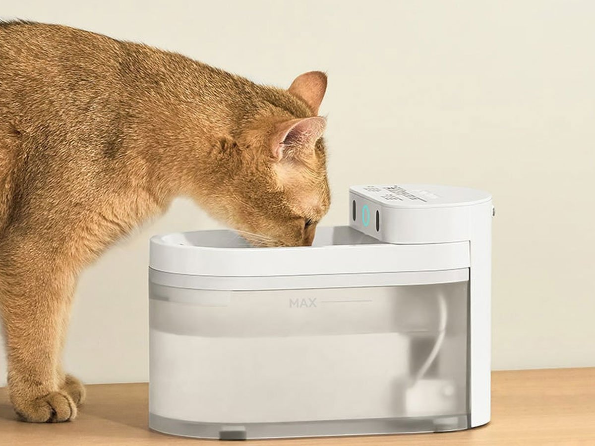 Catlink Inteligentna fontanna dla psa i kota Pure 3 picie wody