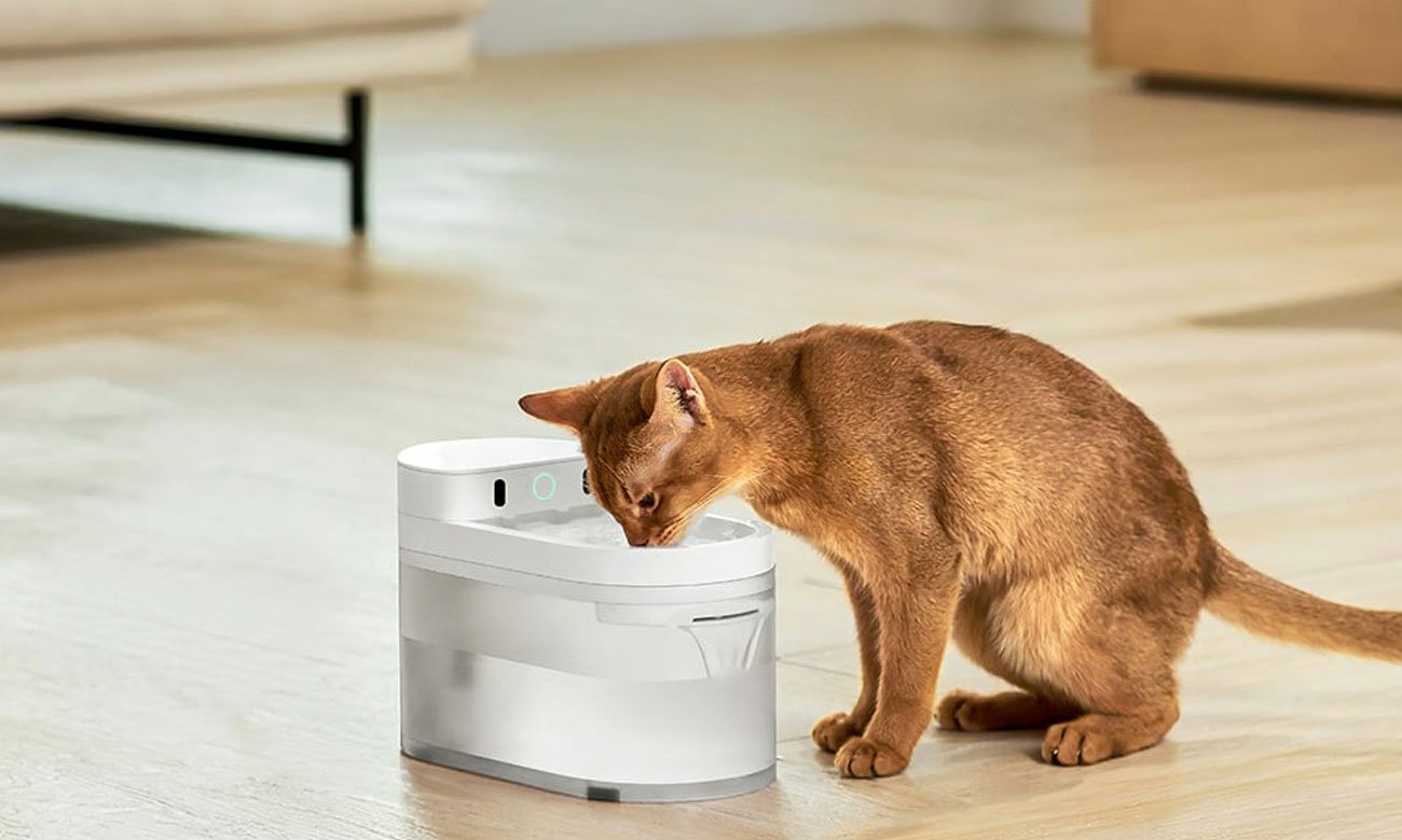 Catlink Inteligentna fontanna dla psa i kota Pure 3