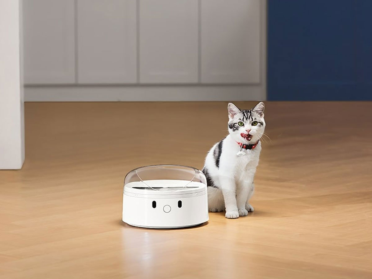 Catlink Inteligentny dozownik karmy z funkcja rozpoznawania kota F03