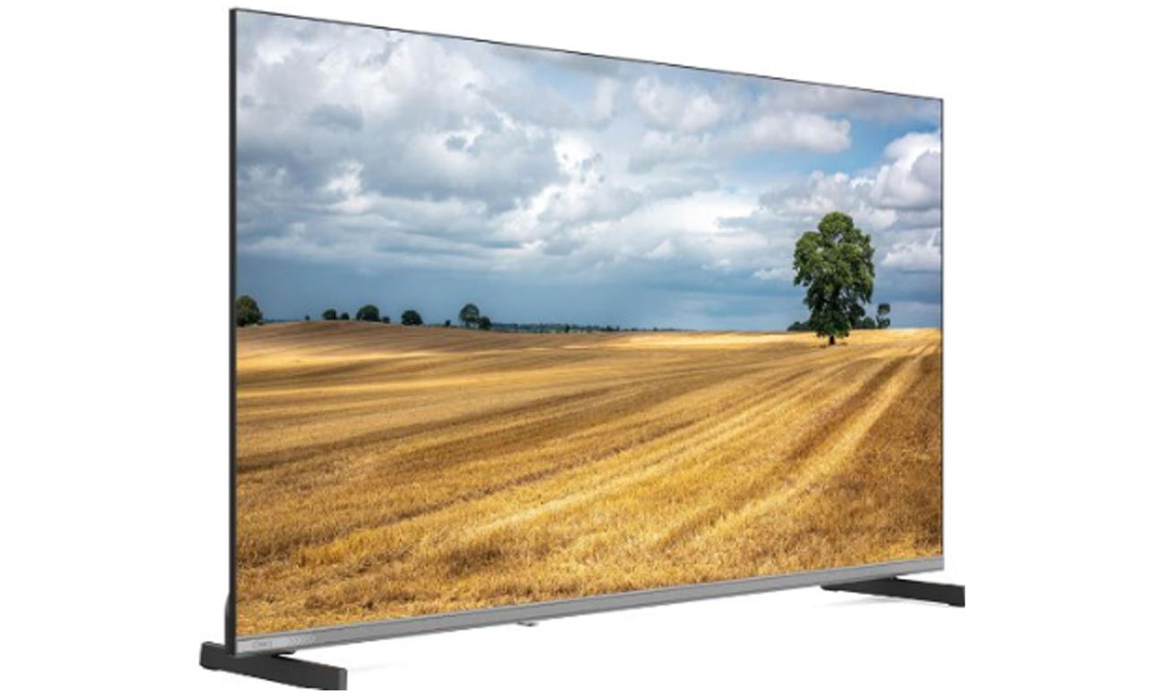 Telewizor ChiQ L40QM10V 40'' LED Full HD Google TV