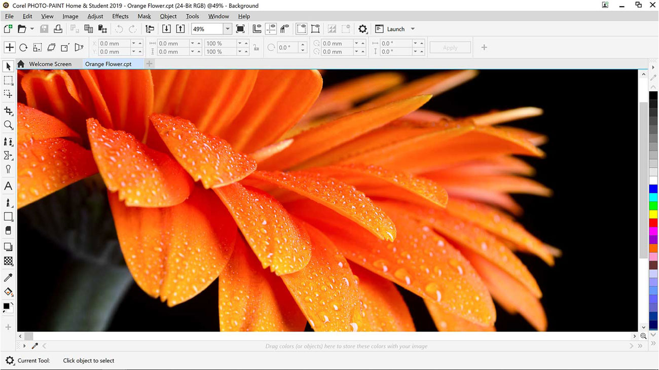 PHOTO-PAINT do edycji zdjęć