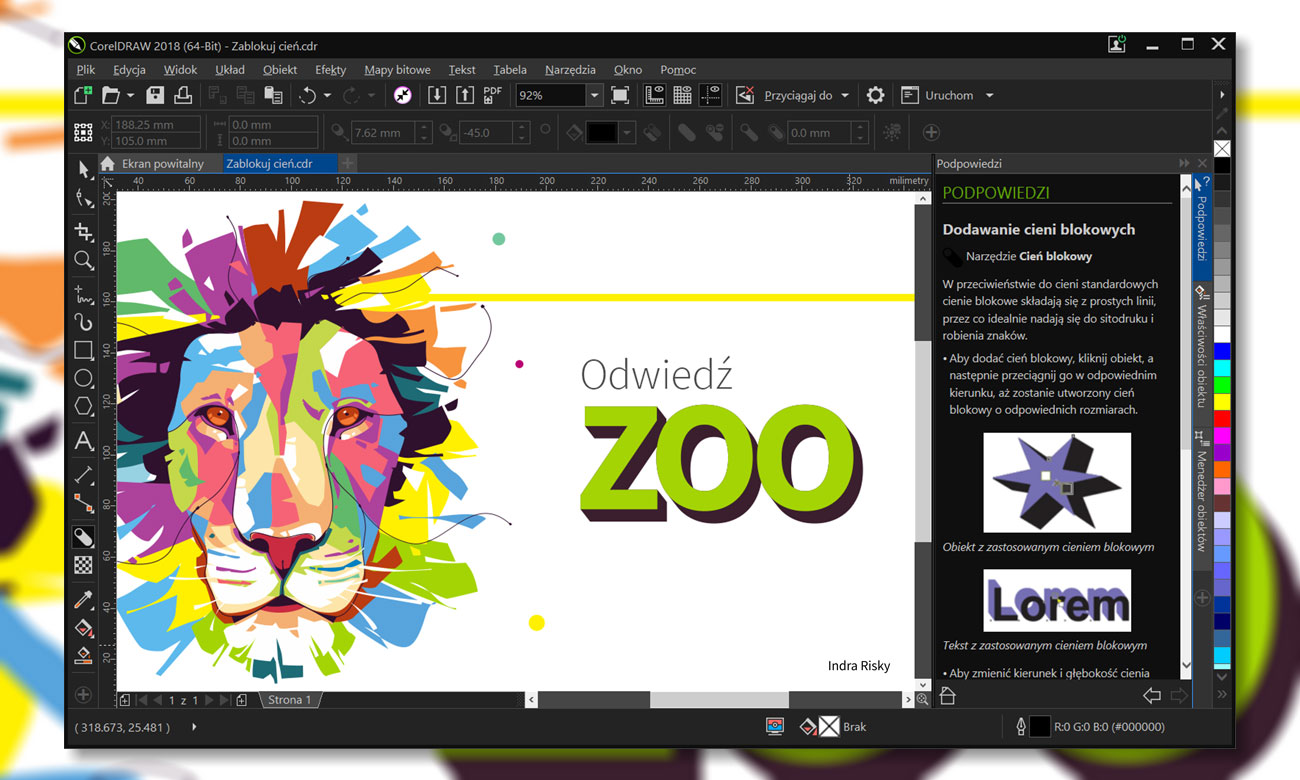 corel design software