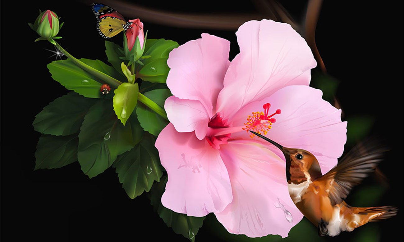CorelDRAW Graphics Suite SE Szybkie rozpoczęcie pracy