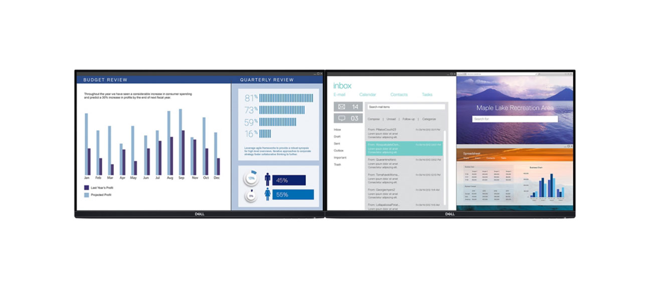 210-APWS-WOST P2219H