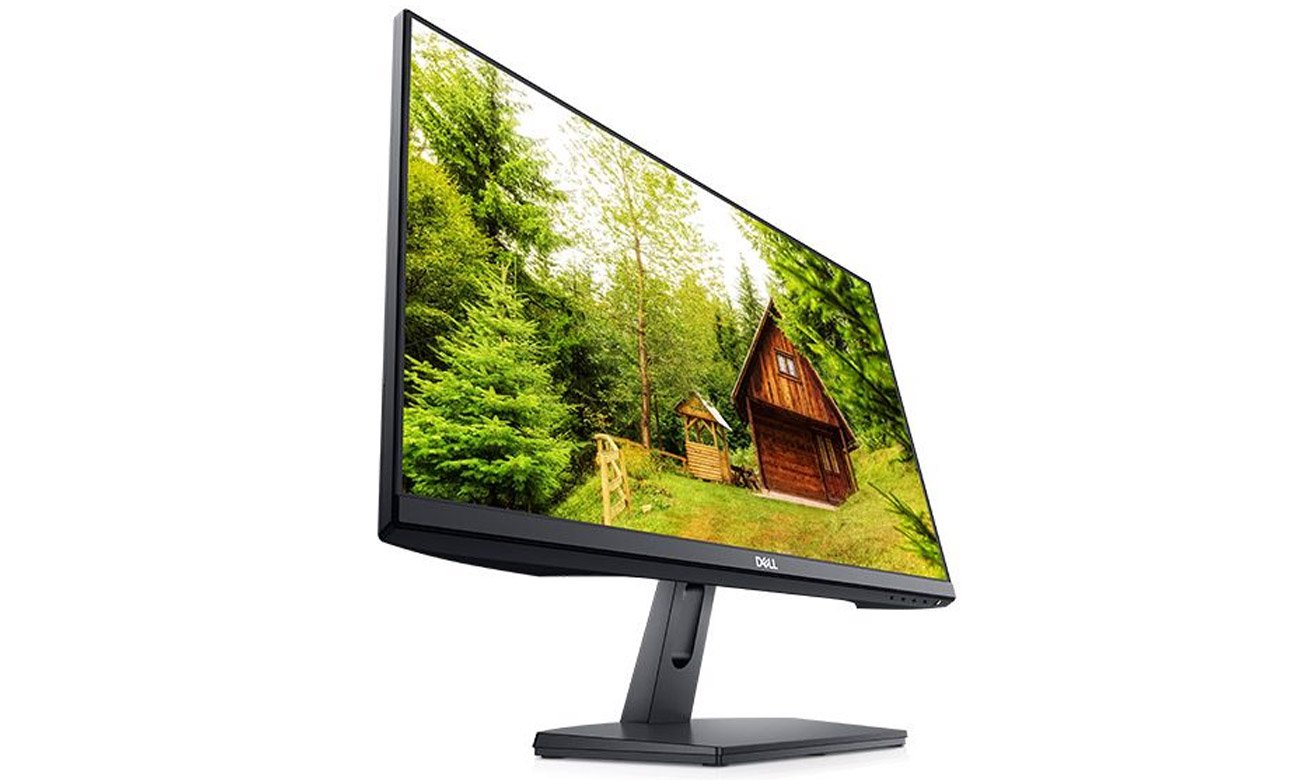 Monitor do domu i do biura Dell SE2419HR
