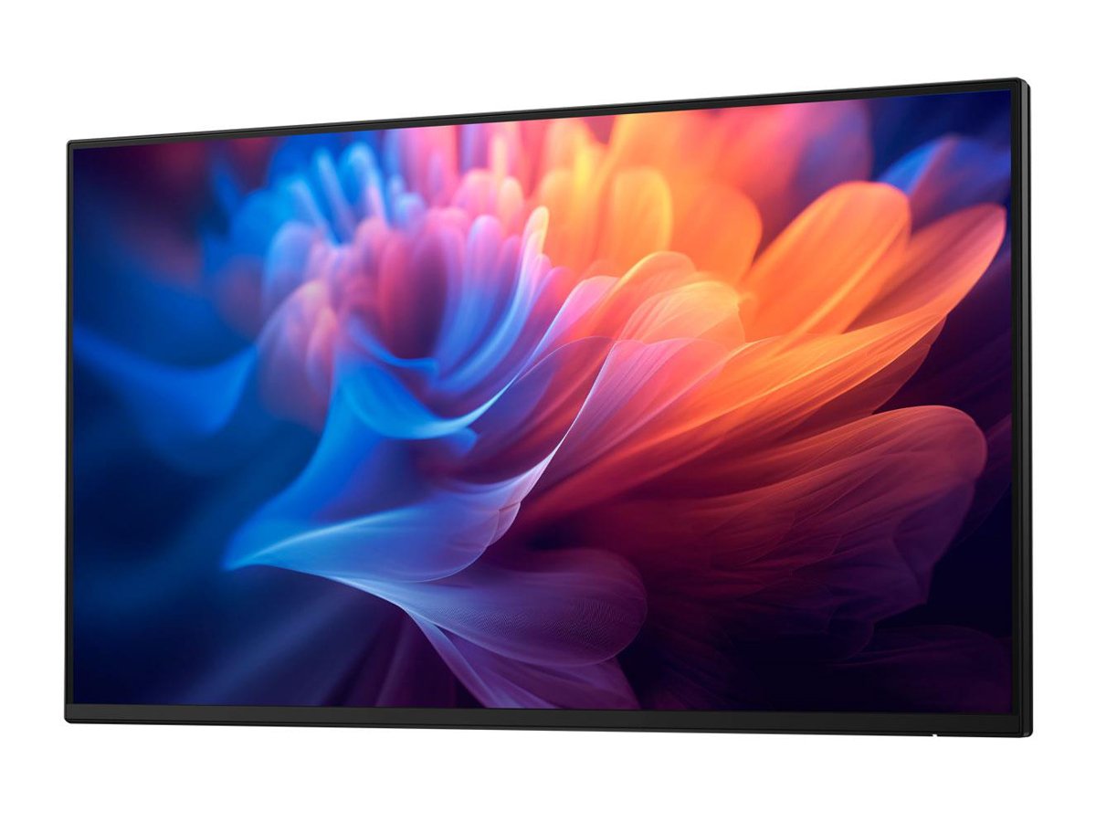 Dell P2425H/5Y