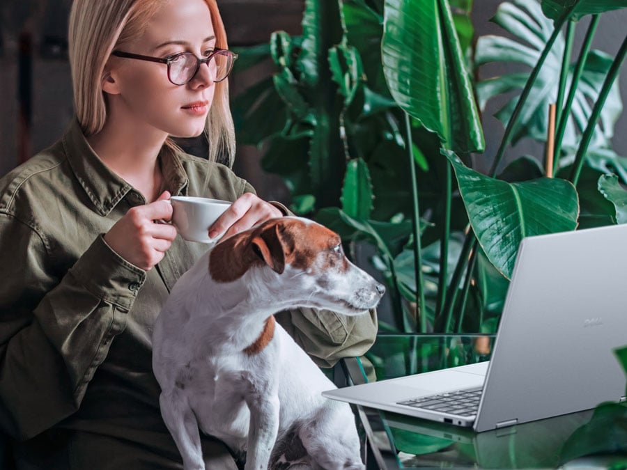 Dell 14 Plus  2-in-1  pokrywa oraz bok obudowy