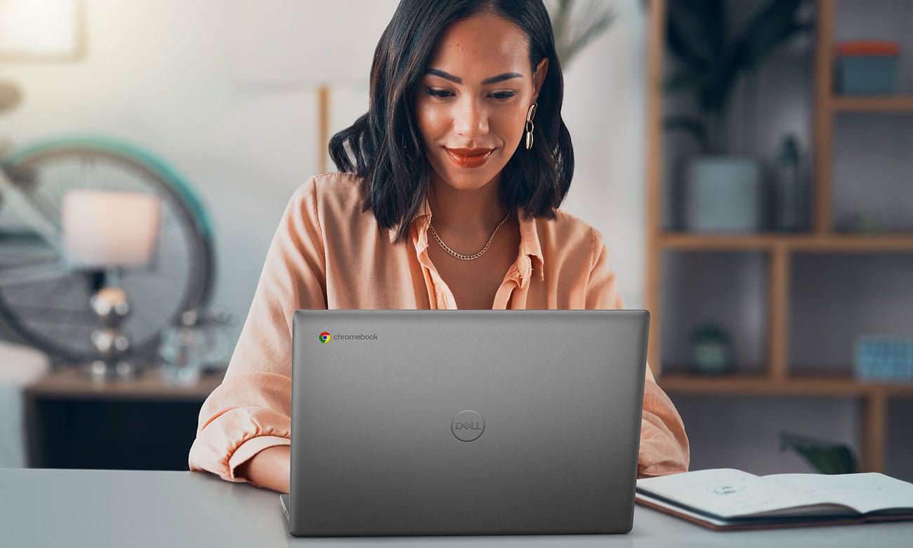 Dell Latitude 3445 Chromebook laptop