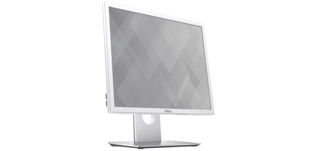 Dell P1917