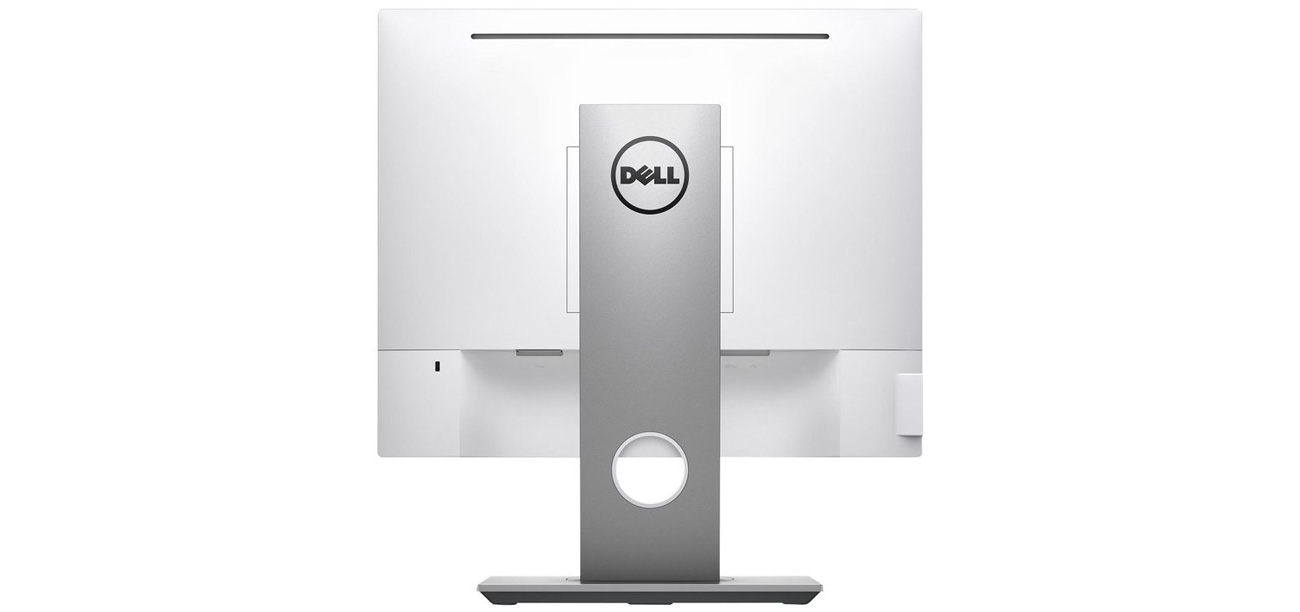 Dell P1917