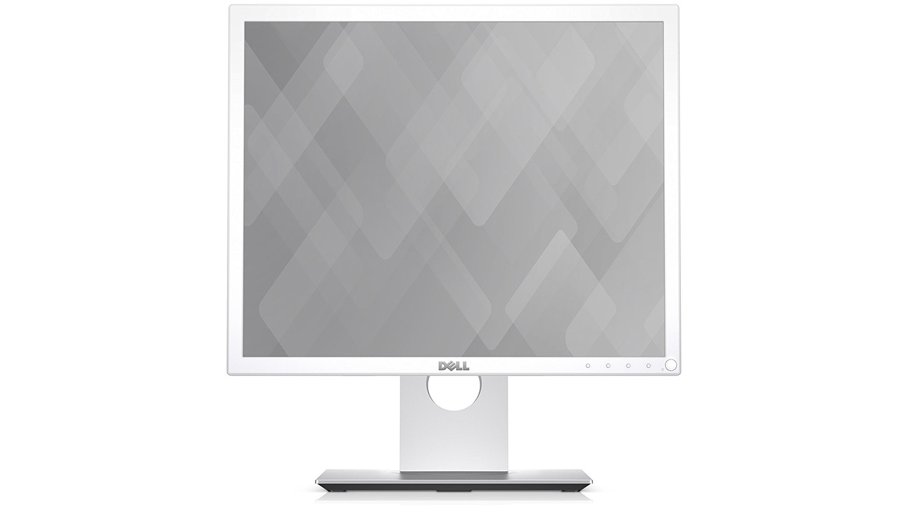 Dell P1917