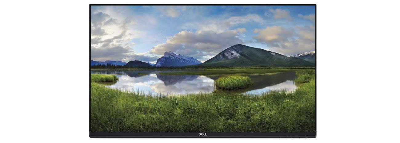Monitor Dell 24 P2419H