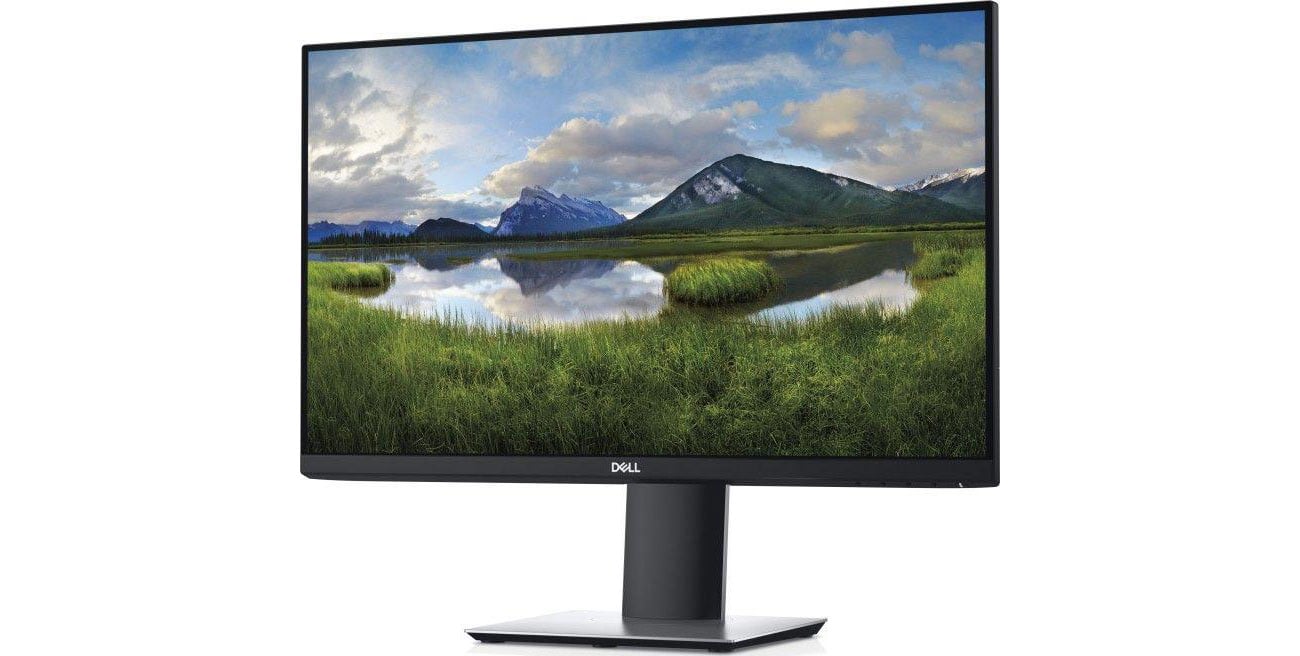 Monitor do domu i do biura Dell P2421D