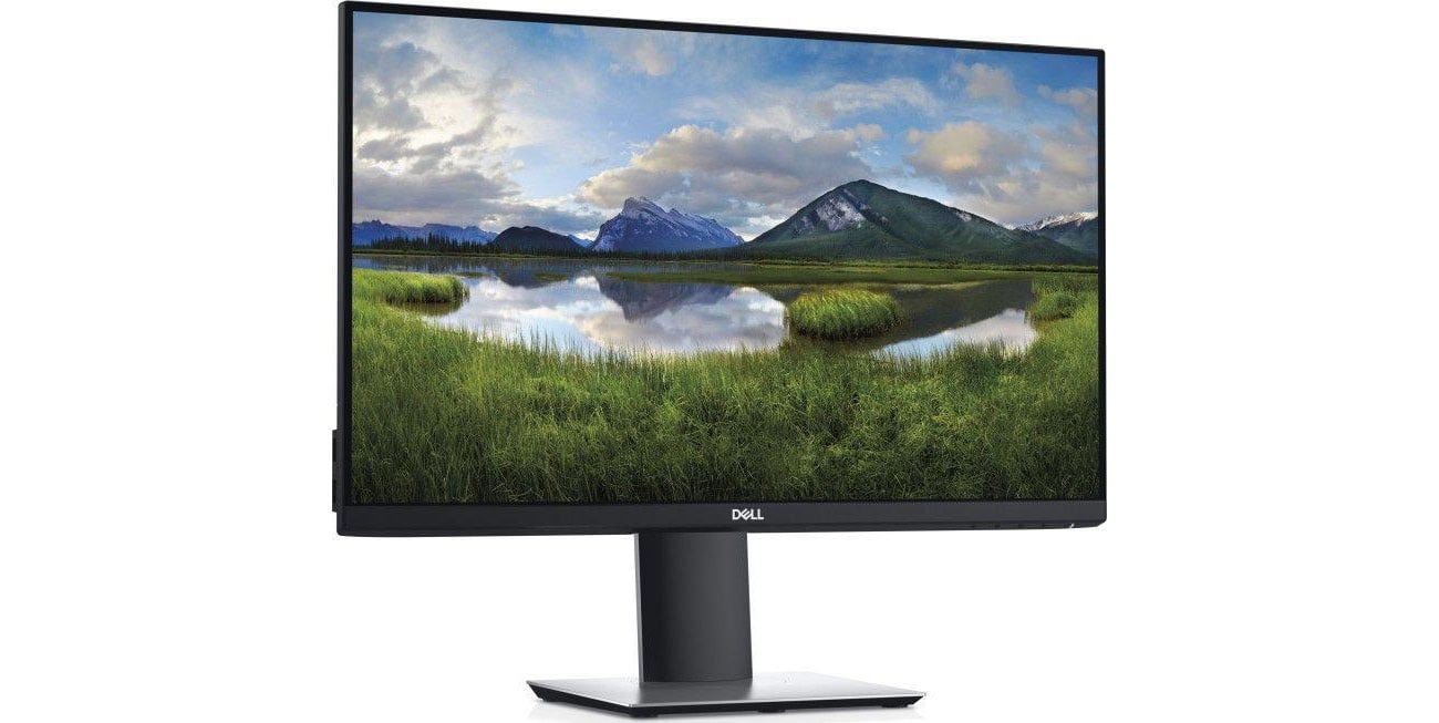 Dell p2421d deals