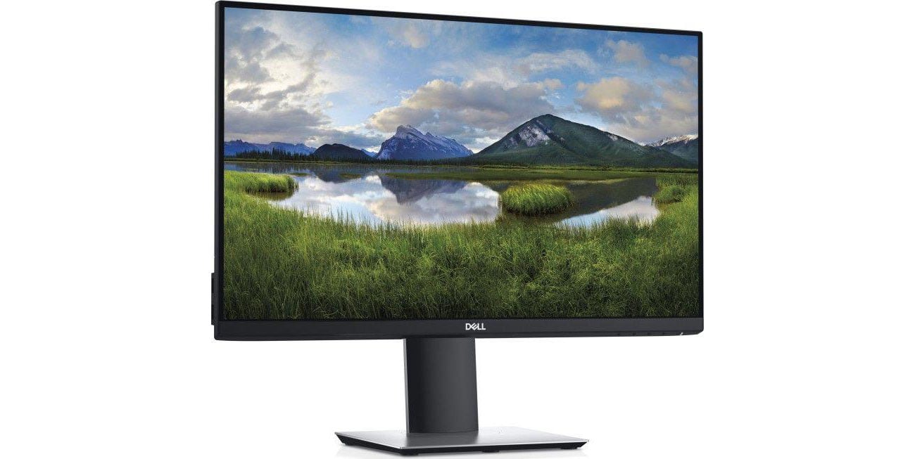 Monitor do domu i do biura Dell P2421DC