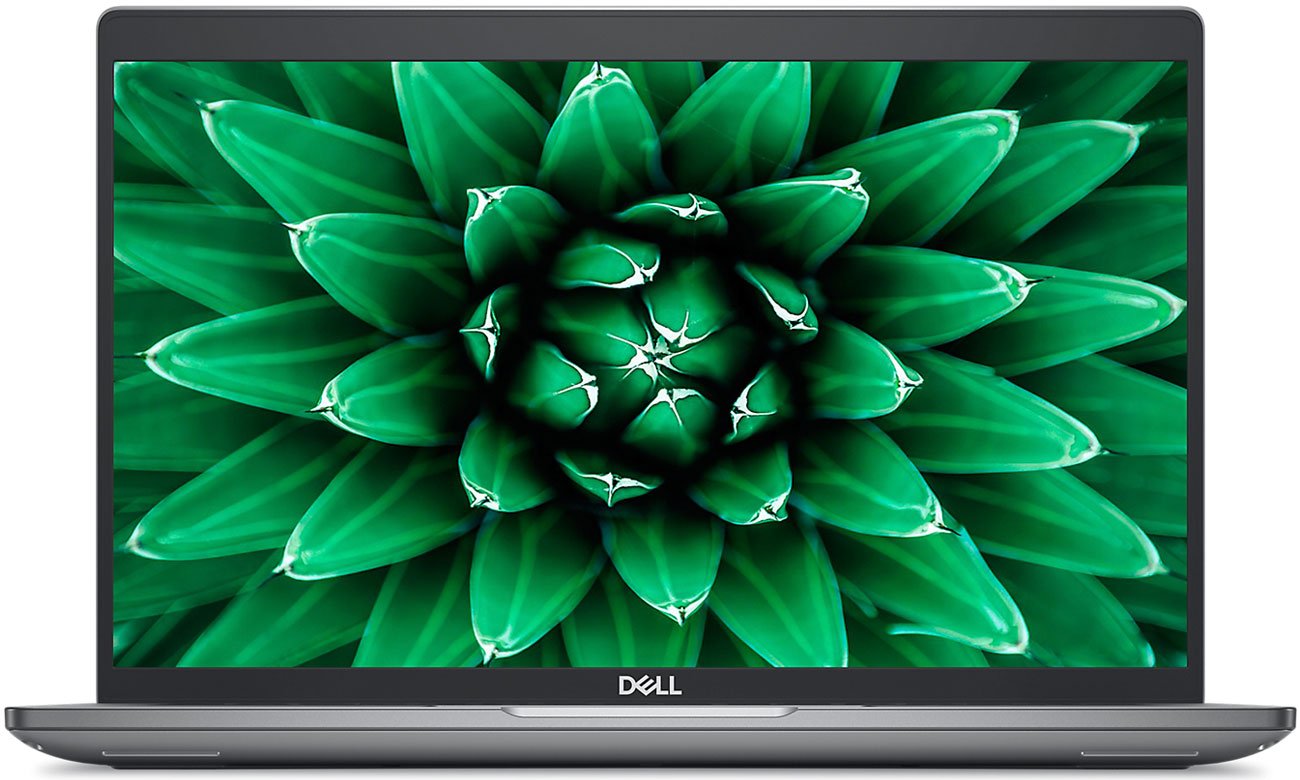 Dell Precision 3590 screen