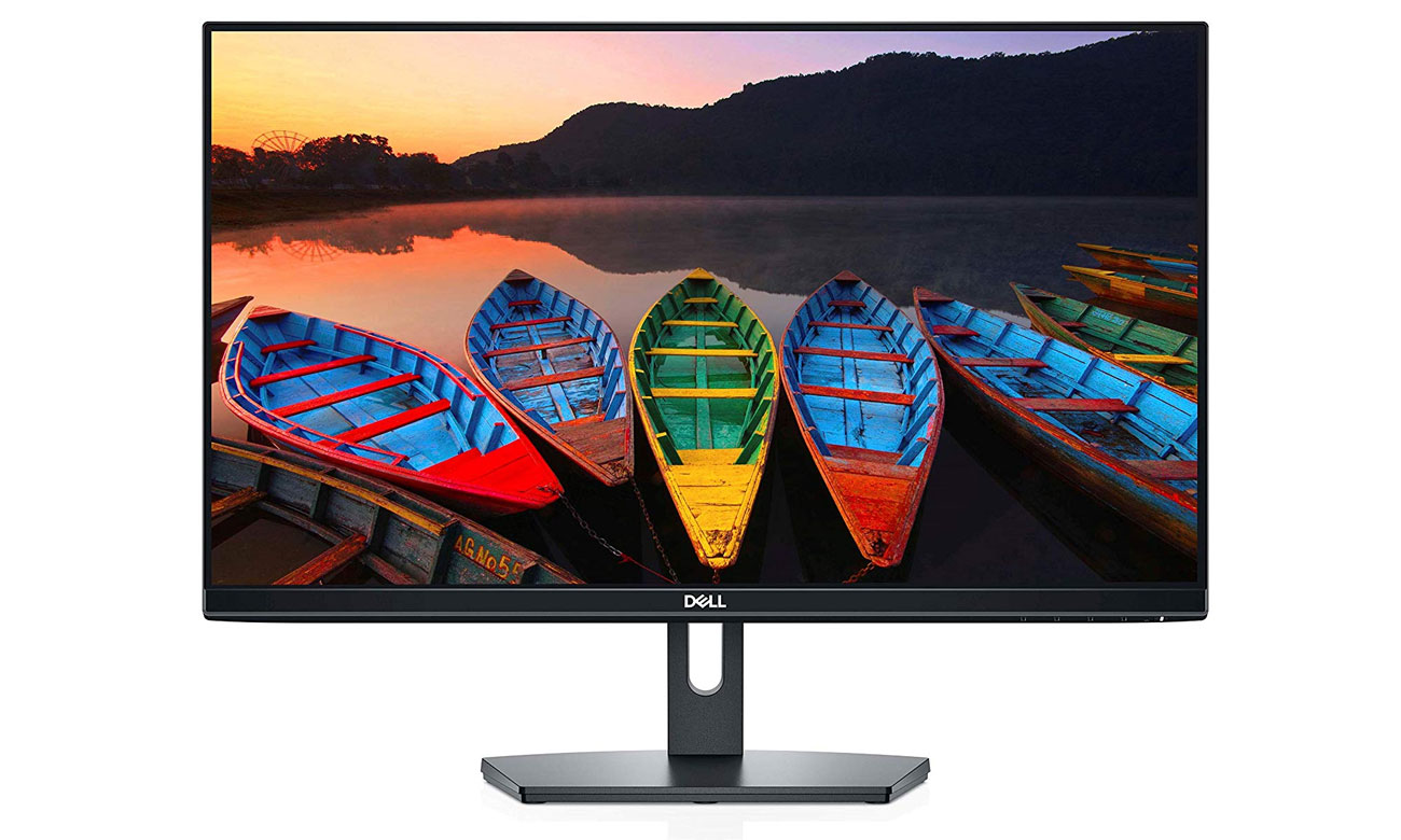 Dell se2419h deals