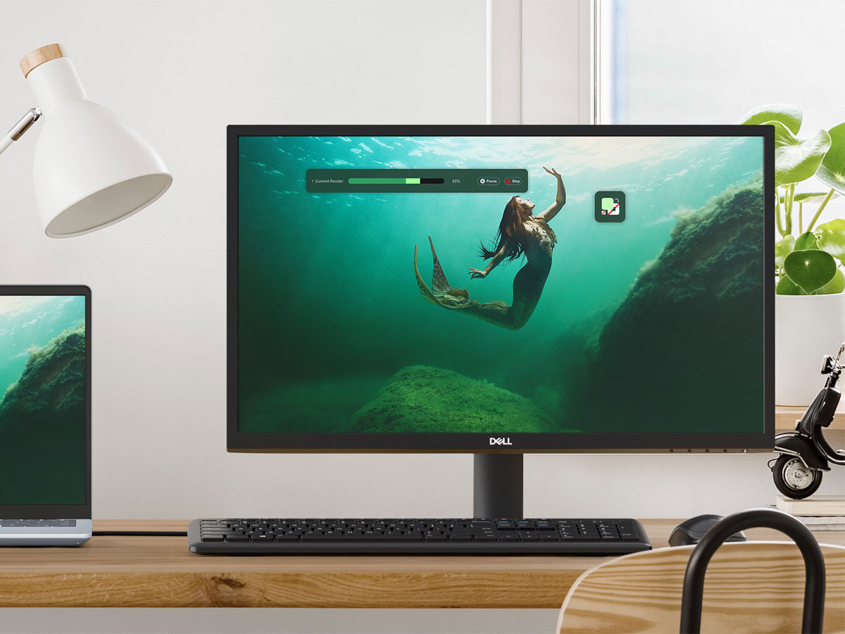 Dell SE2425H