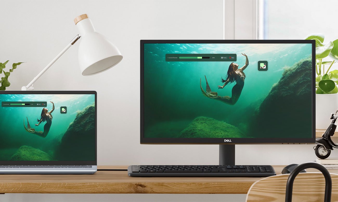 Dell SE2425H