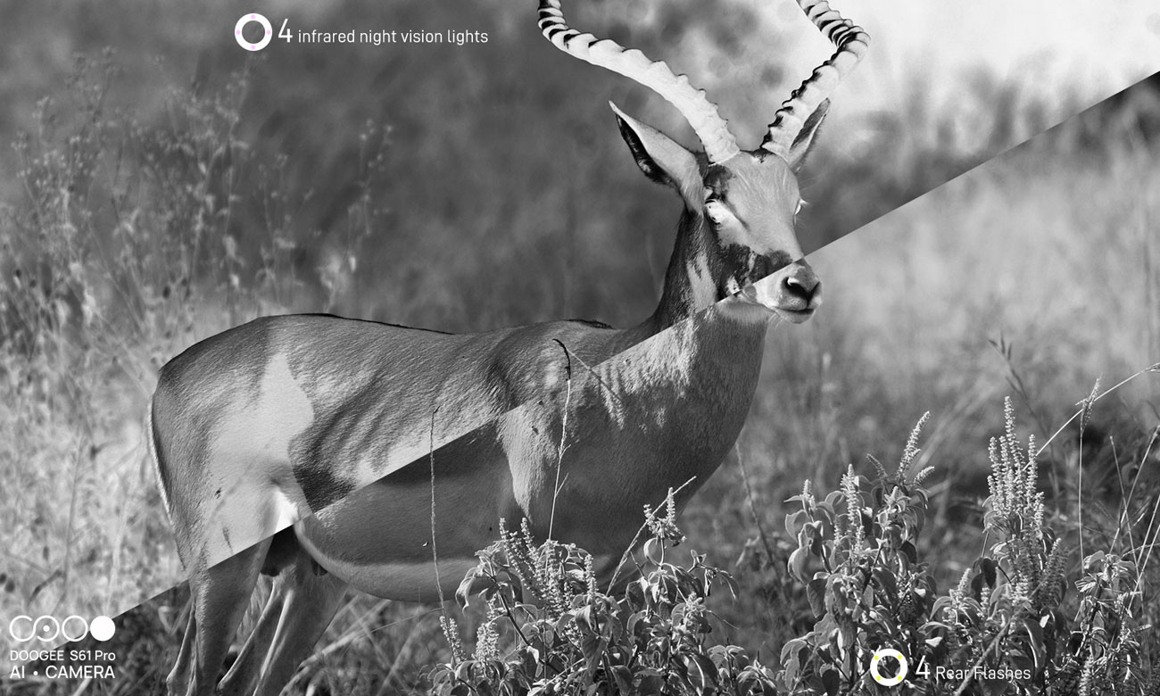 Kamera noktowizyjna Doogee S61 Pro