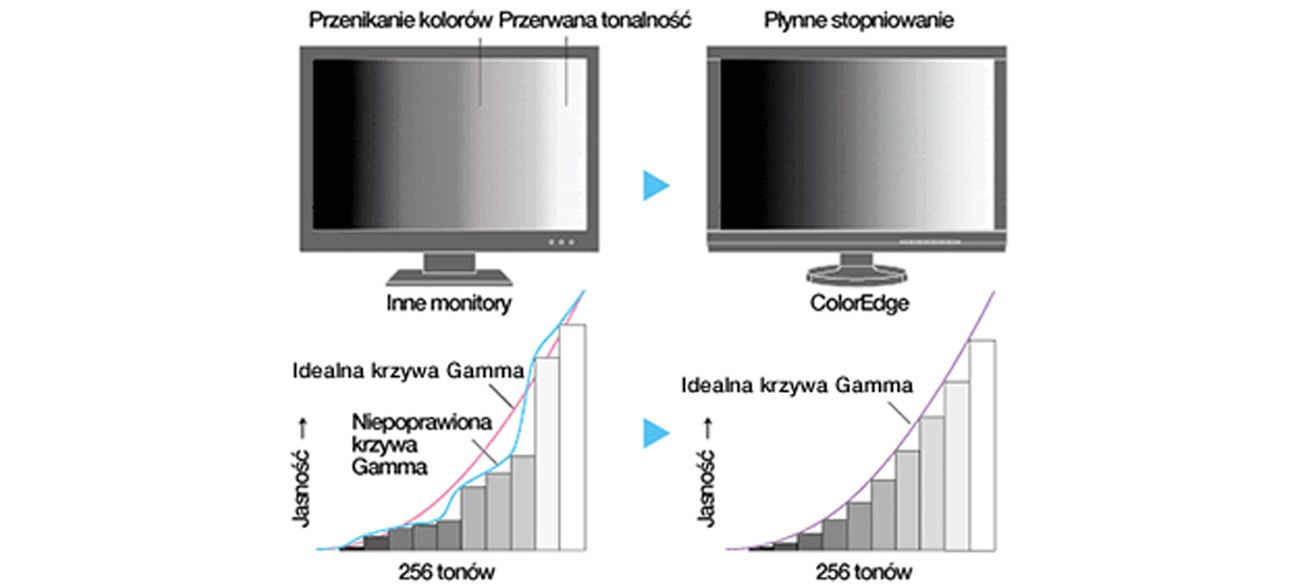Eizo CS230-BK Precyzyjnie dobrane barwy składowe