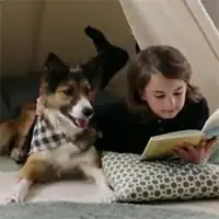 Dziecko czytające książke w towarzystwie psa