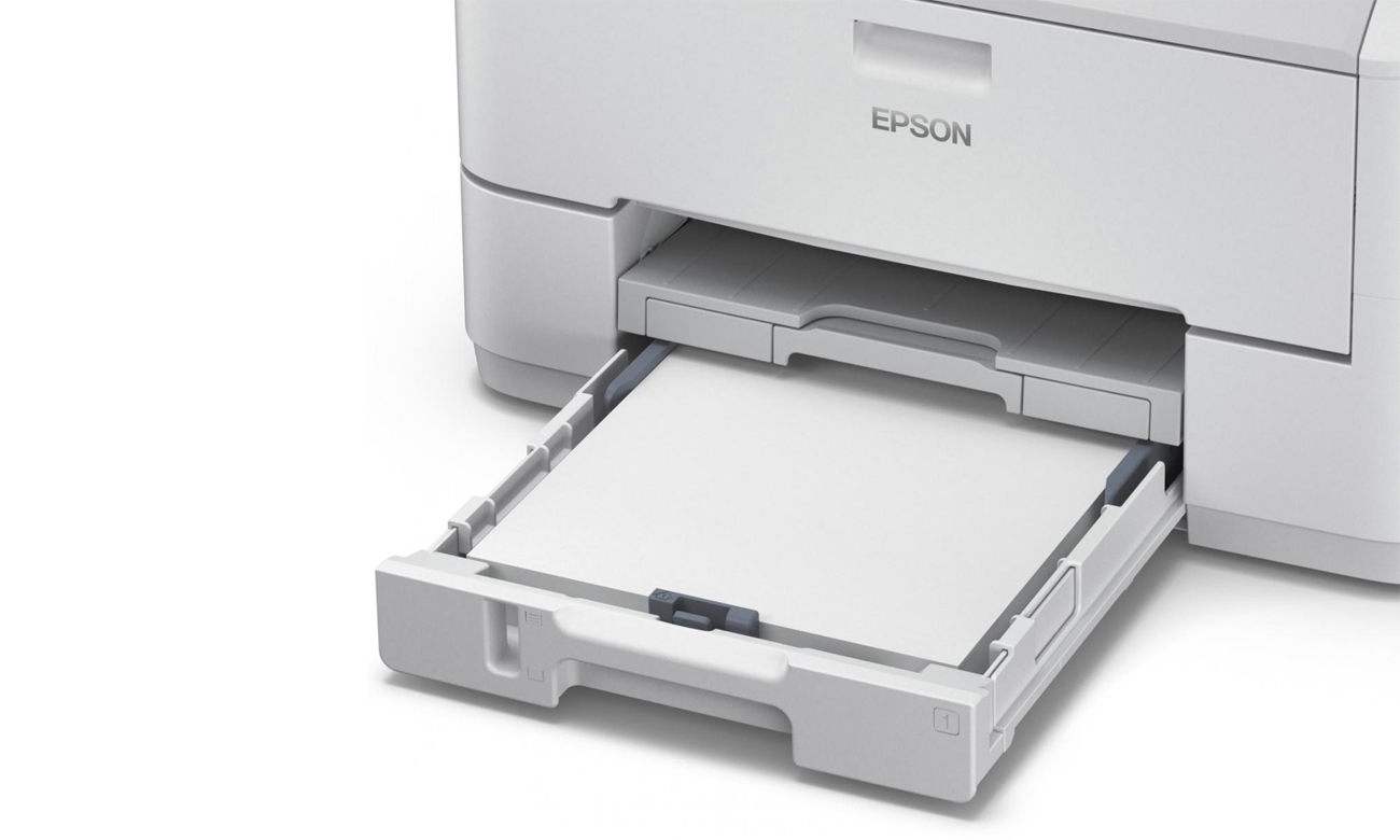 Epson Ekologia