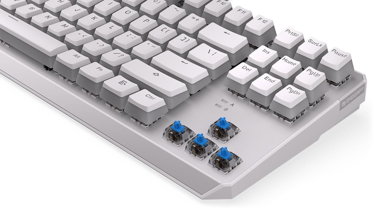 ENDORFY Thock TKL Pudding Kailh Blue RGB