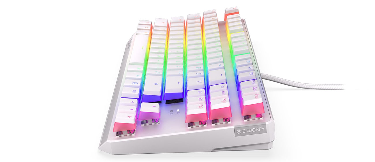 ENDORFY Thock TKL Pudding Kailh Brown RGB