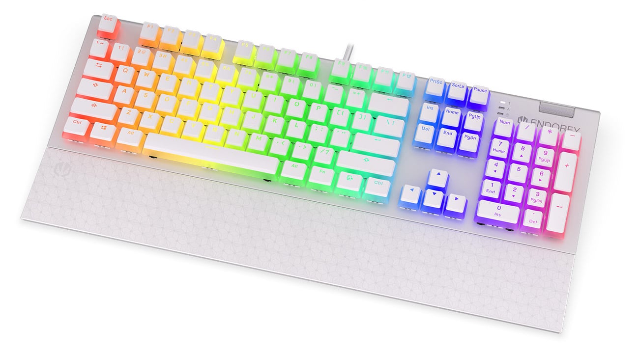 Endorfy Omnis Onyx White Kailh Brown RGB