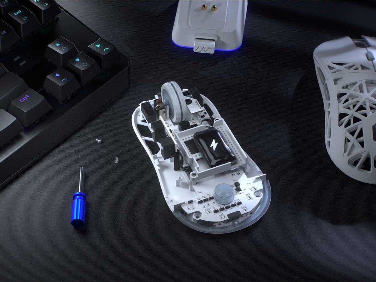 ENDORFY LIV Plus Wireless