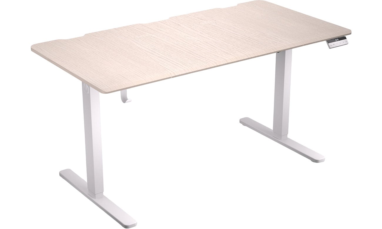 Biurko gamingowe ENDORFY Atlas L Electric