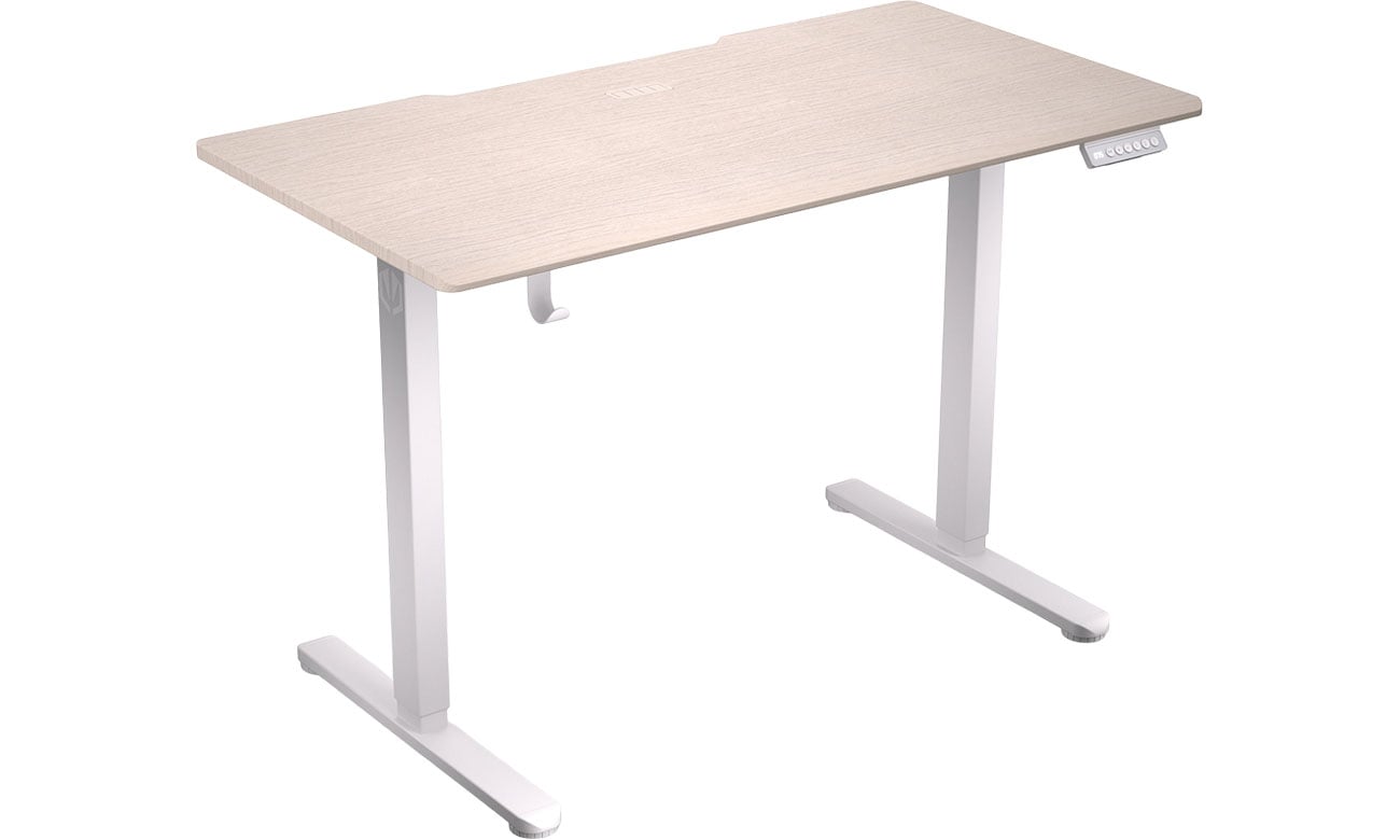 Biurko gamingowe ENDORFY Atlas S Electric