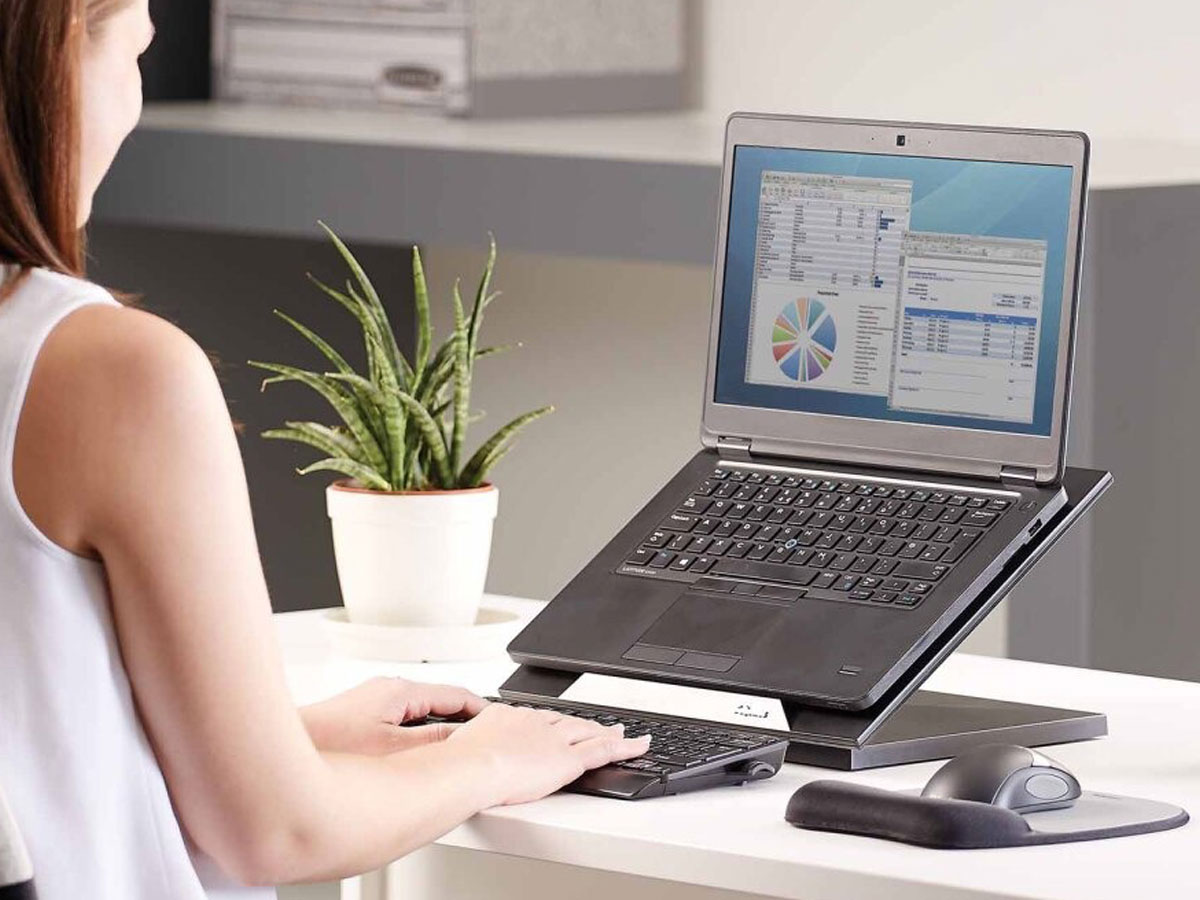 Fellowes Designer Suites