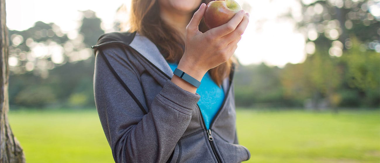 FitBit Flex
