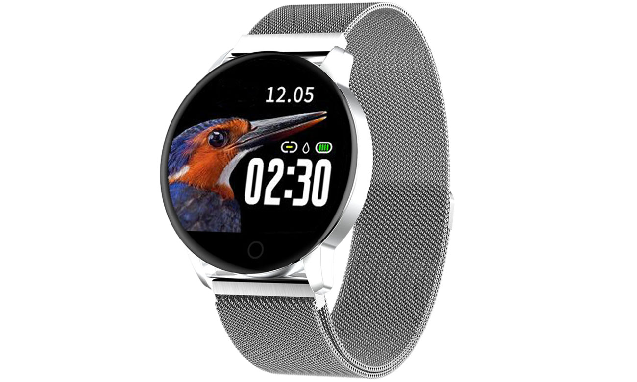 Pulsometr i ciśnieniomierz