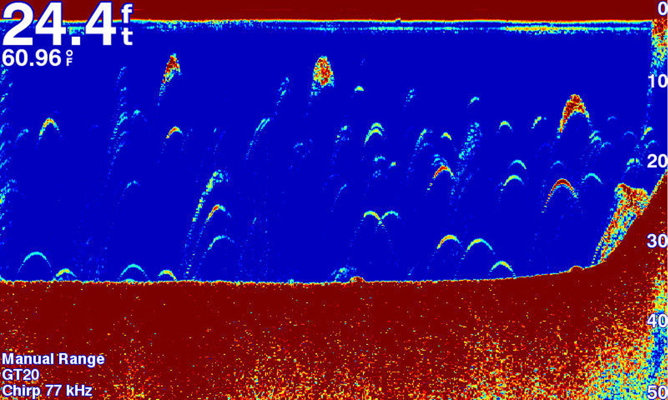 Sonaru CHIRP 77/200 kHz