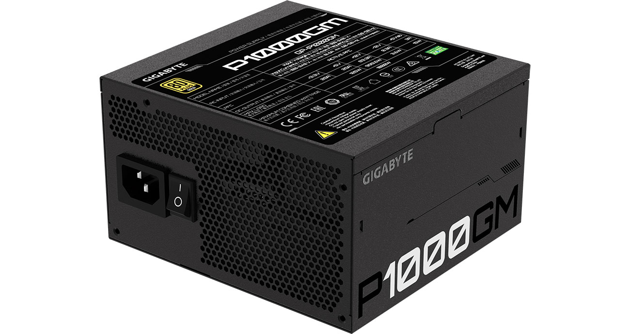 Gigabyte P1000GM - Etykieta