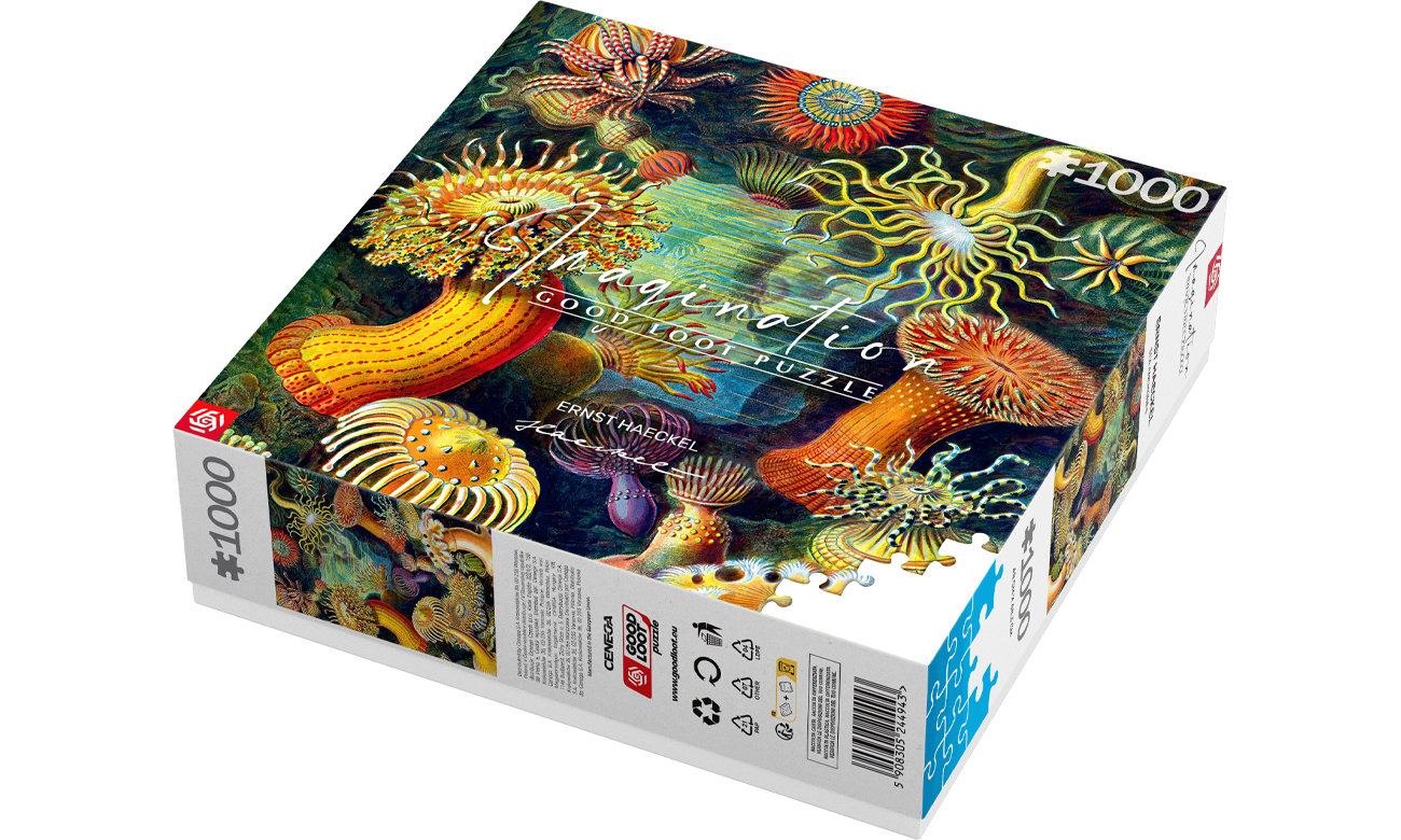 Puzzle Imagination: Ernst Haeckel – Stworzenia morskie - Widok ogólny