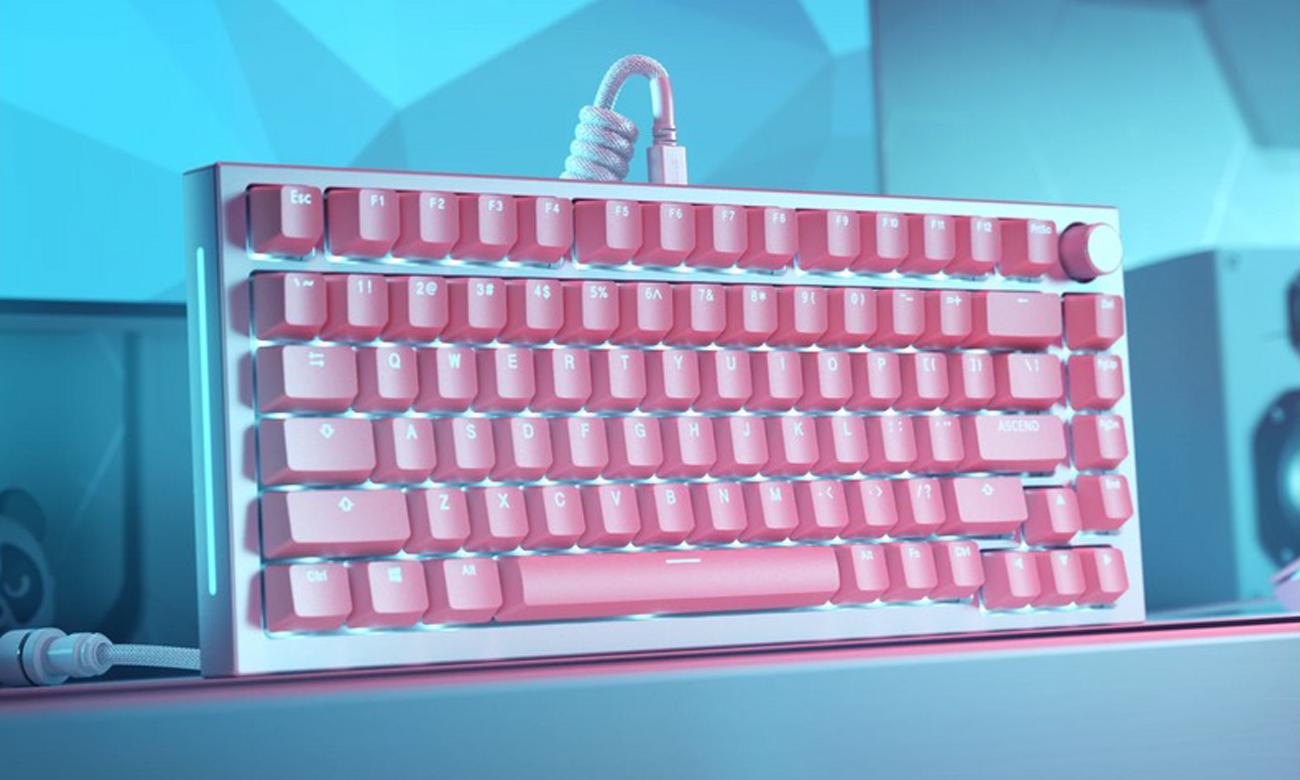 Glorious Doubleshot V2 Keycaps Pink