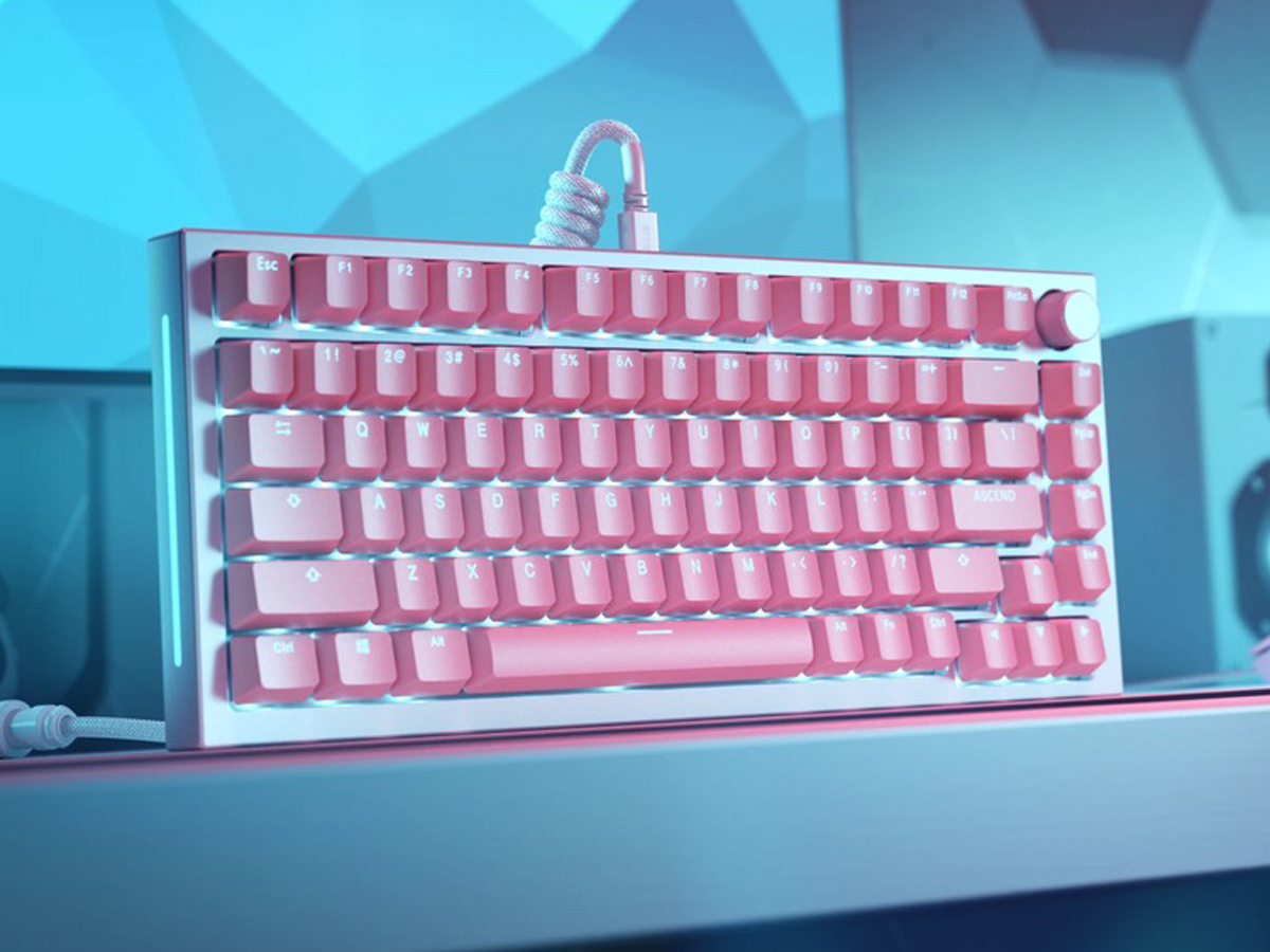Glorious Doubleshot V2 Keycaps Pink