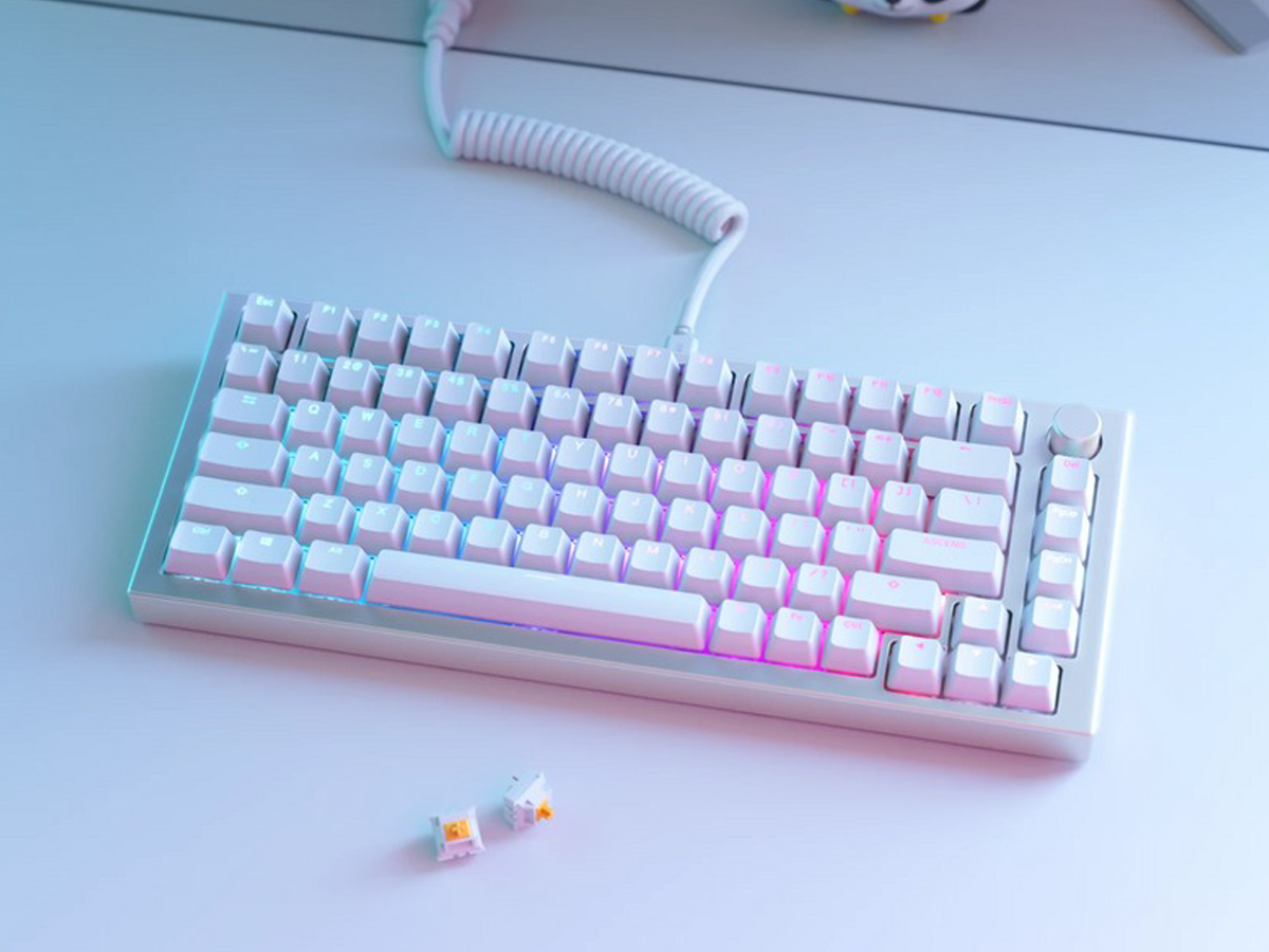 Glorious Doubleshot V2 Keycaps Pink