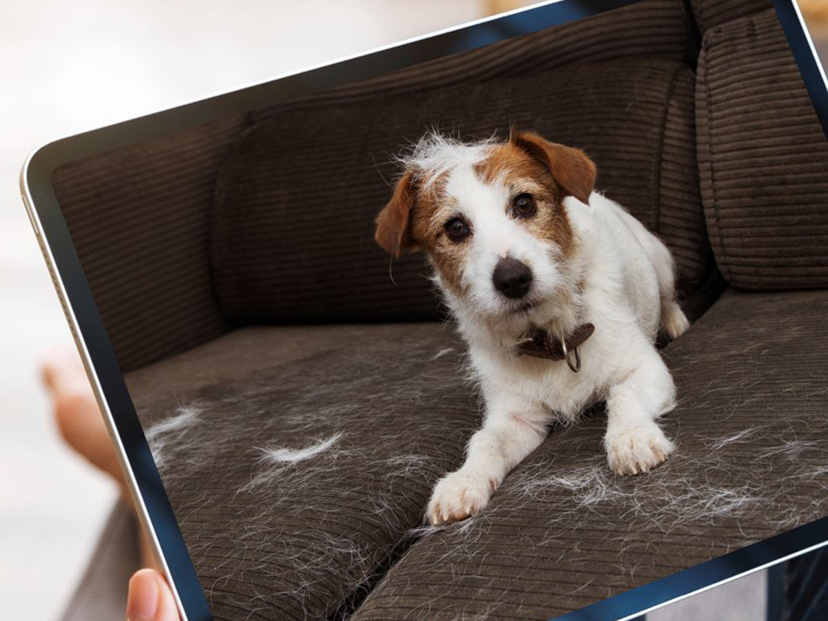 Obrotowa kamera wewnętrzna Wi-Fi Hama 176613 - Dwukierunkowa komunikacja