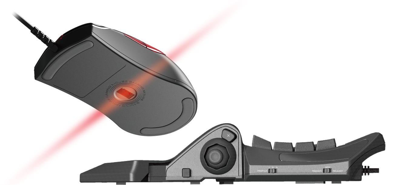 Najważniejsze cechy