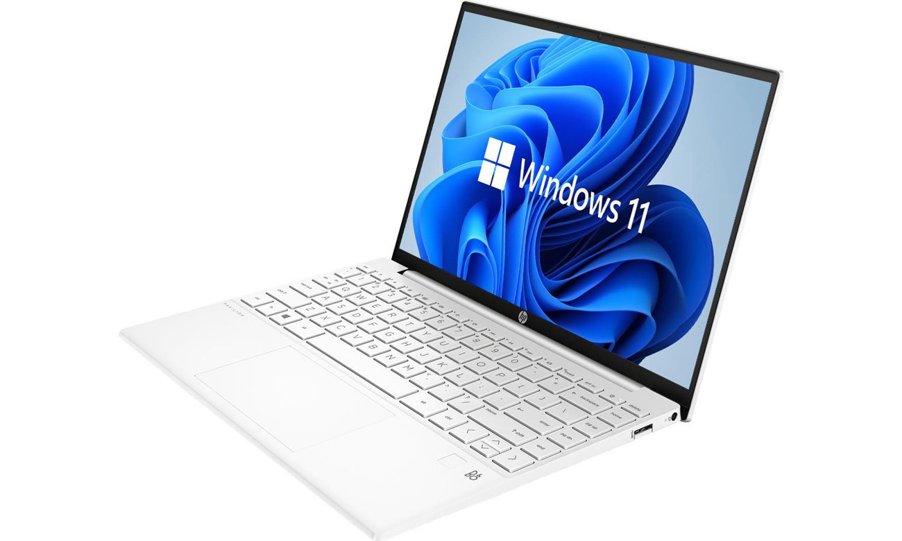 HP Pavilion Aero matryca IPS
