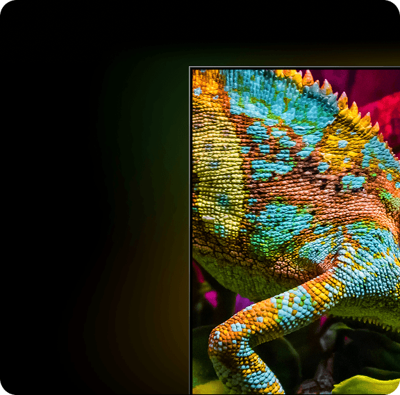 Zbliżenie na kolorowego kameleona i oznaczenia Certyfikat Pantone i 30% więcej koloru niż zwykły LED TV (Light Emitting Diode)