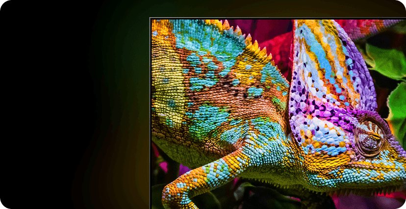 Zbliżenie na kolorowego kameleona i oznaczenia Certyfikat Pantone i 30% więcej koloru niż zwykły LED TV (Light Emitting Diode)